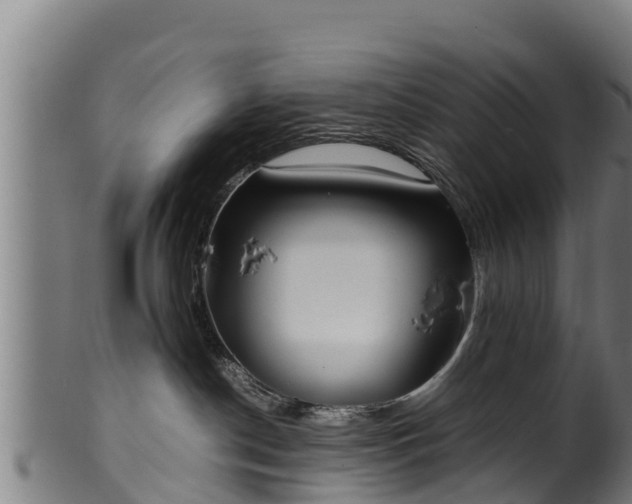 X0000100230190200806061418