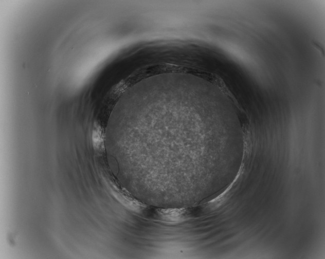 X0000100230191200806061418