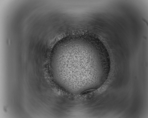 X0000100230192200806061418