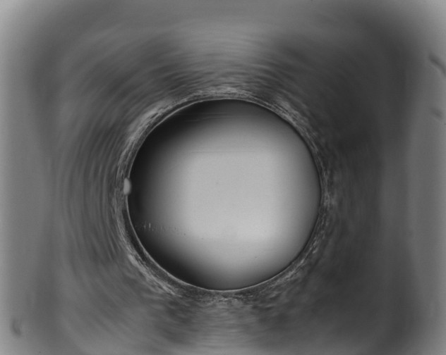 X0000100230193200806061417