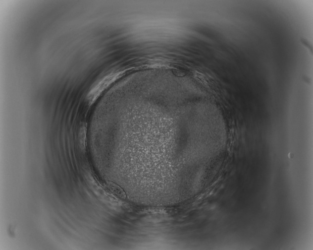 X0000100230194200806061417