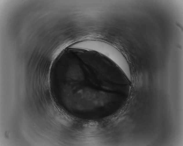 X0000100230196200806061417