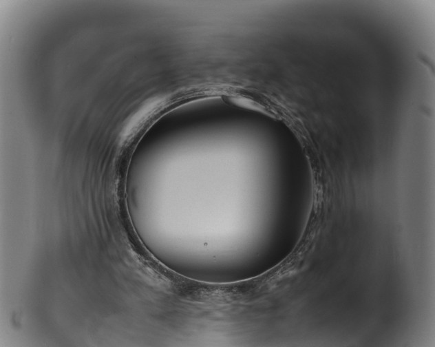 X0000100230197200806061417