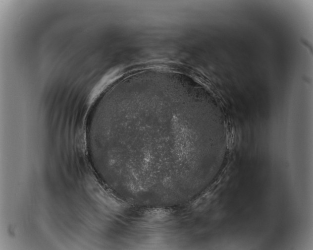 X0000100230198200806061417