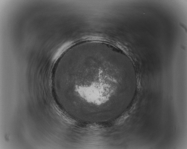 X0000100230199200806061417