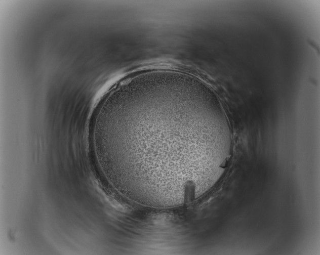X0000100230200200806061417