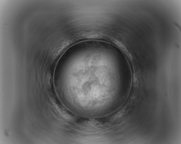 X0000100230201200806061417