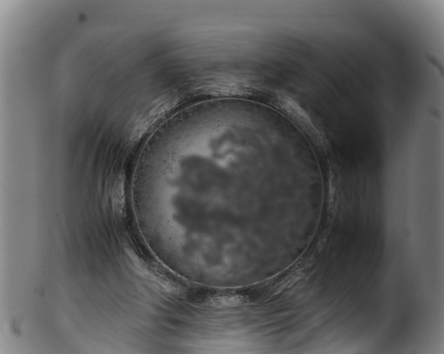 X0000100230202200806061417