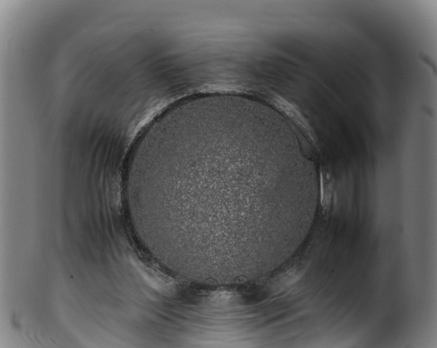 X0000100230204200806061417