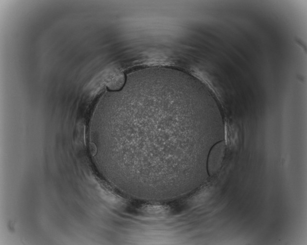 X0000100230205200806061417