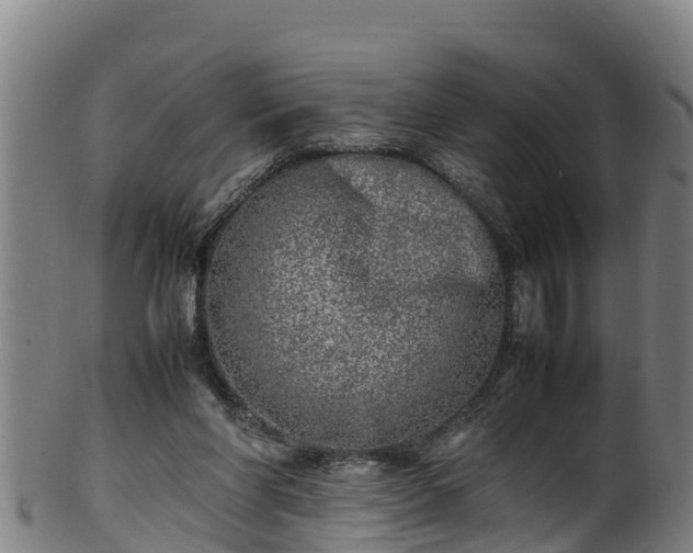 X0000100230206200806061417