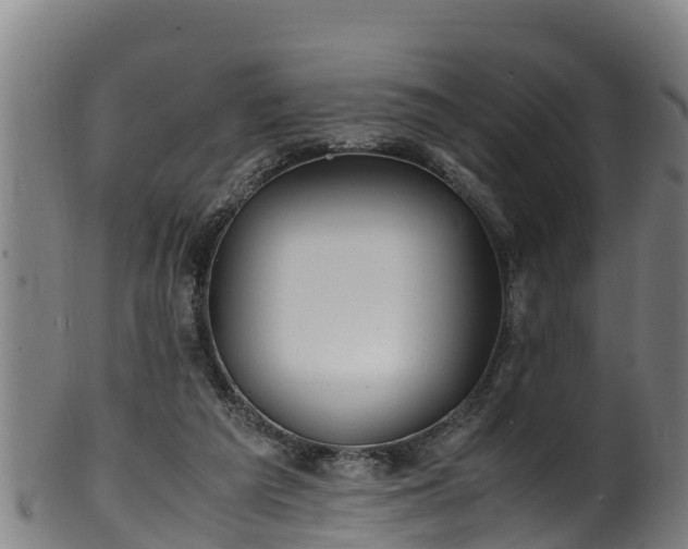 X0000100230209200806061417