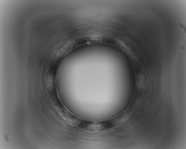 X0000100230213200806061417