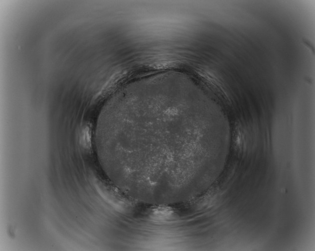 X0000100230214200806061417