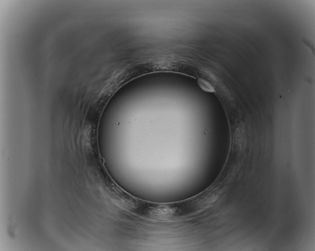 X0000100230217200806061417