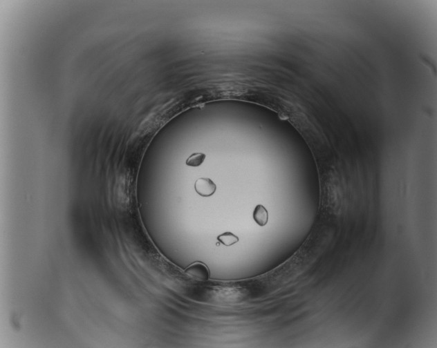 X0000100230218200806061417