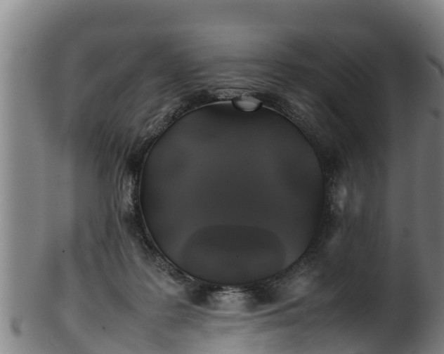 X0000100230219200806061417