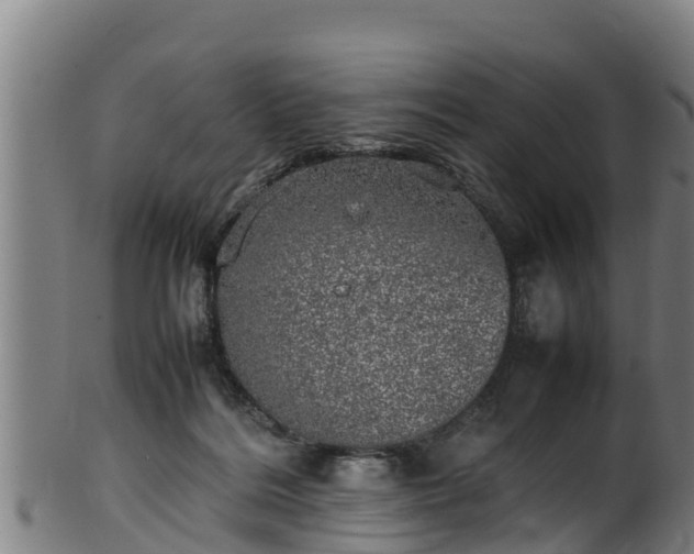 X0000100230220200806061417