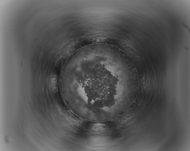 X0000100230222200806061417