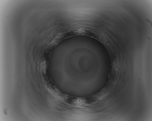 X0000100230223200806061417