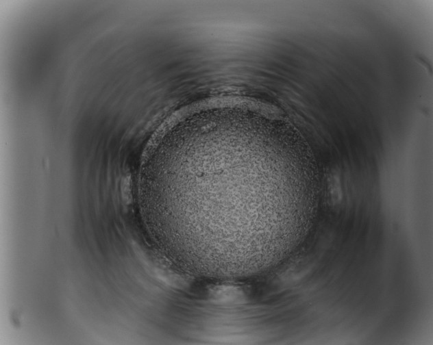 X0000100230224200806061417