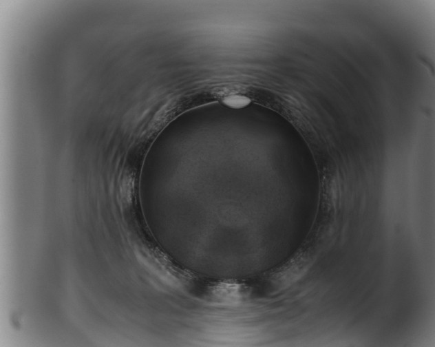 X0000100230227200806061417