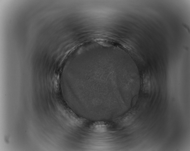 X0000100230228200806061417