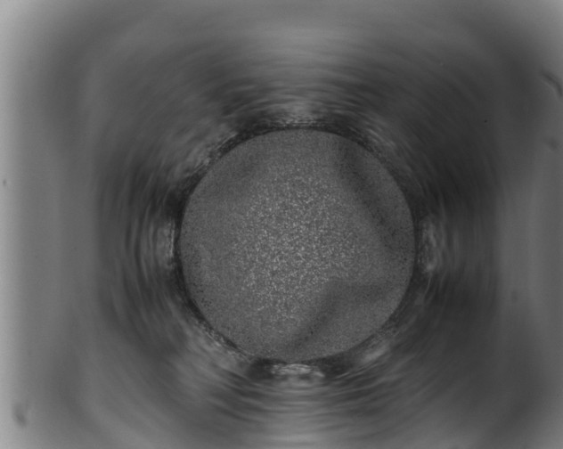 X0000100230230200806061417