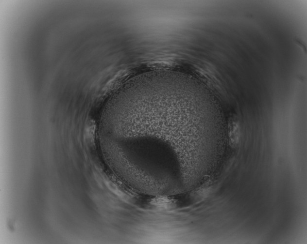 X0000100230231200806061417