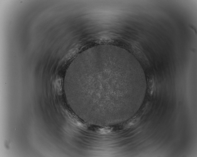 X0000100230232200806061417