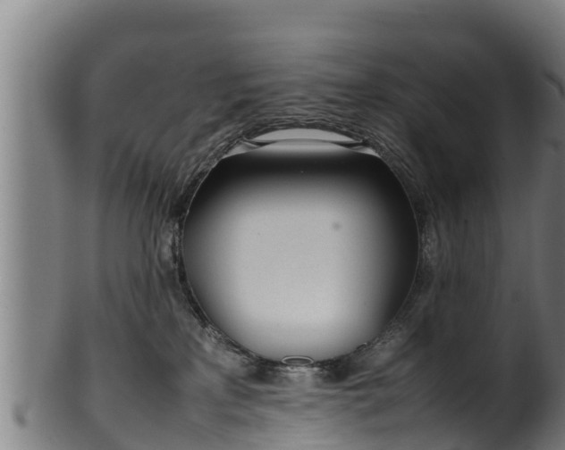 X0000100230233200806061417