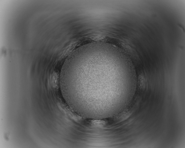 X0000100230234200806061417