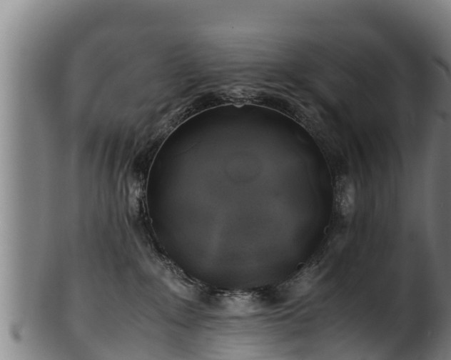 X0000100230235200806061417