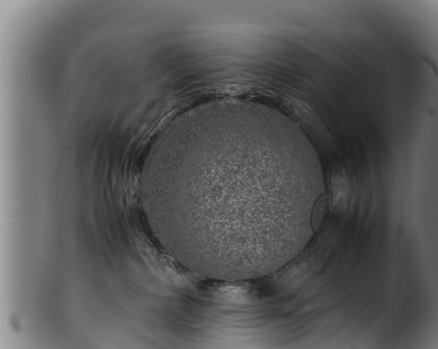 X0000100230236200806061417