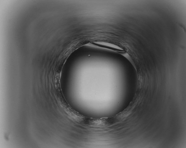 X0000100230237200806061417