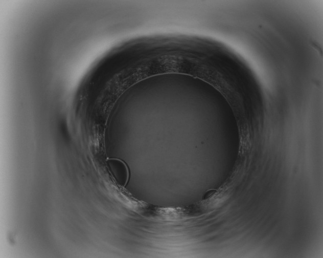 X0000100230239200806061417