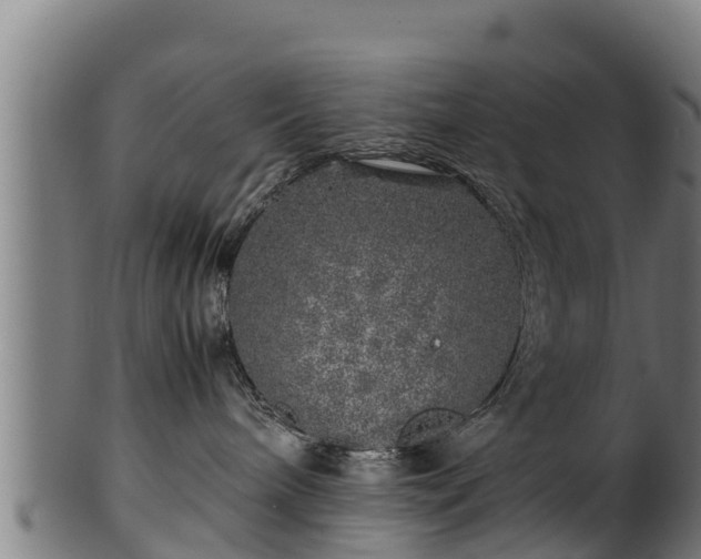 X0000100230240200806061416