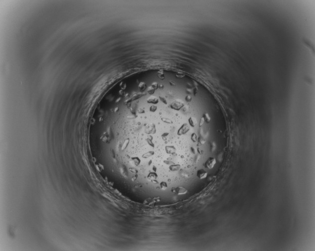 X0000100230241200806061416