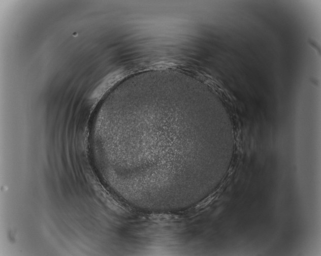 X0000100230242200806061416