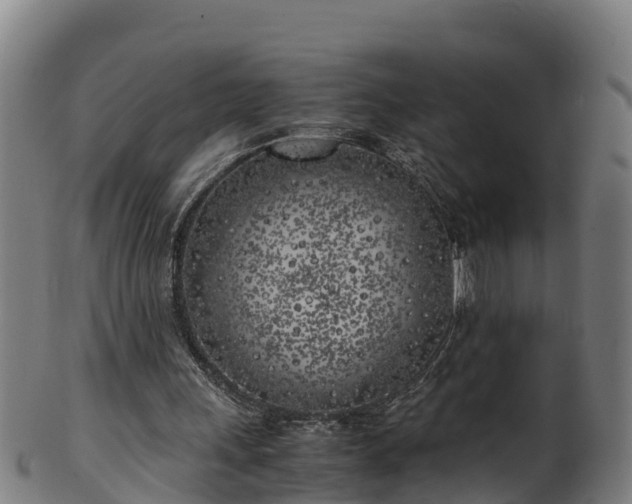 X0000100230243200806061416