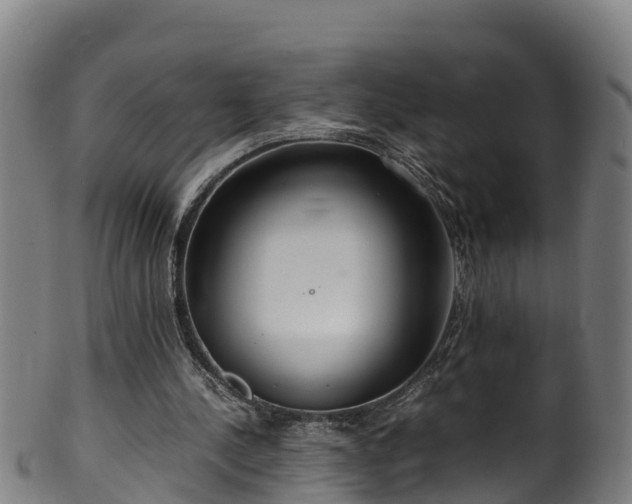 X0000100230244200806061416