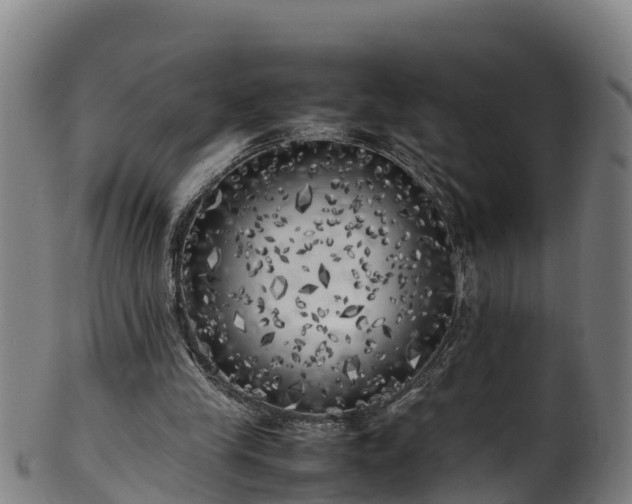 X0000100230245200806061416