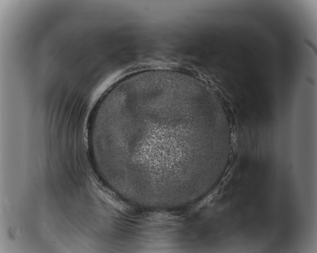 X0000100230246200806061416