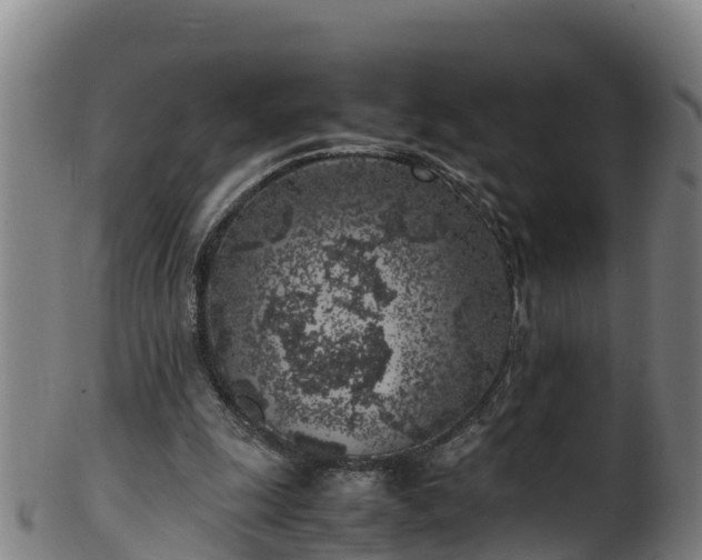 X0000100230247200806061416