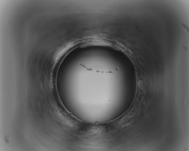 X0000100230248200806061416