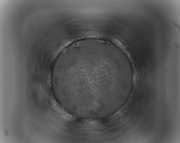 X0000100230249200806061416