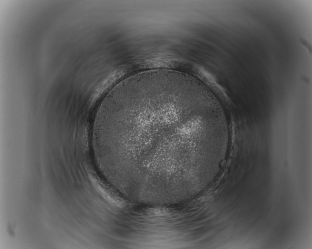 X0000100230250200806061416