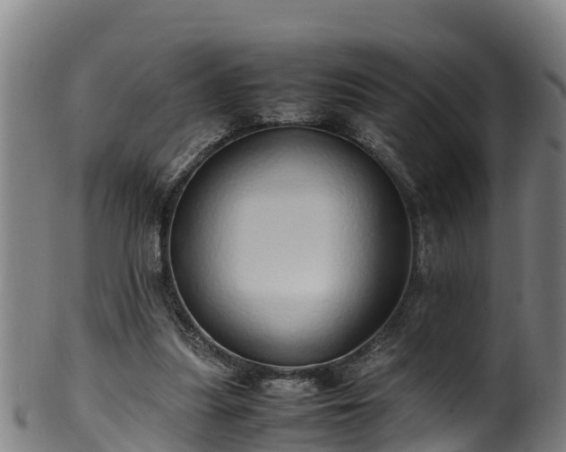 X0000100230251200806061416