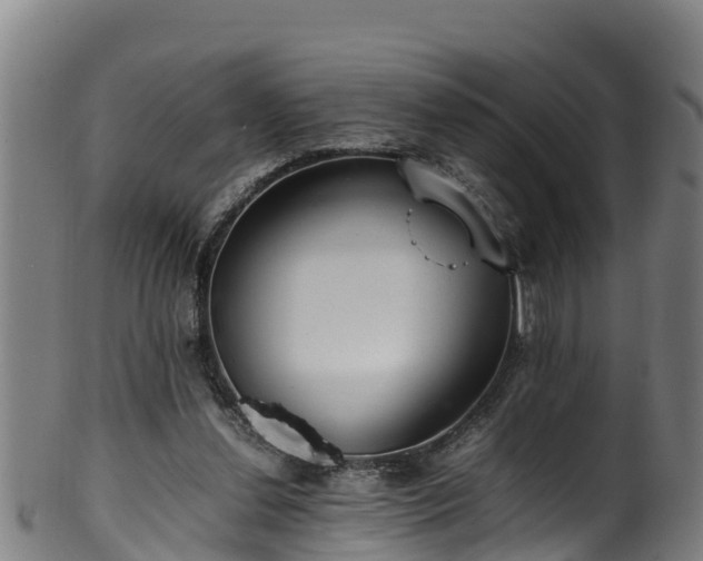 X0000100230252200806061416