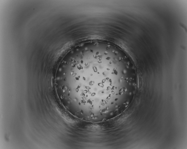 X0000100230253200806061416